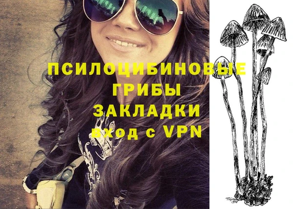 PSILOCYBIN Бугульма