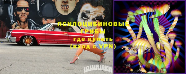 PSILOCYBIN Бугульма
