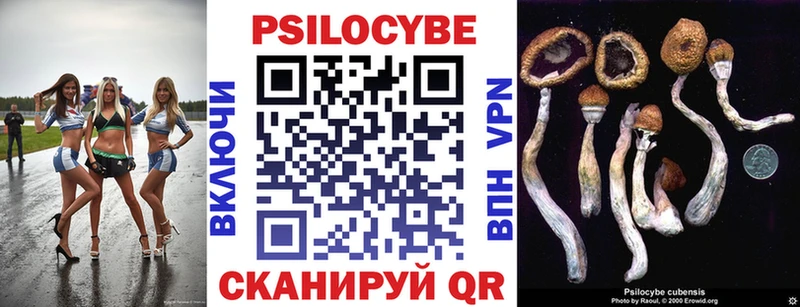 Псилоцибиновые грибы Magic Shrooms  Высоковск 